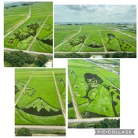 ファイル 1584-1.jpeg