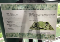 ファイル 1584-4.jpeg