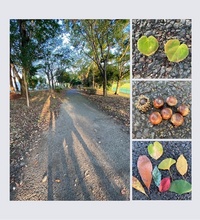 ファイル 1597-2.jpeg