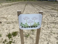 ファイル 1599-3.jpeg