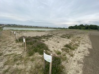 ファイル 1599-5.jpeg