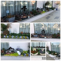 ファイル 1677-1.jpeg