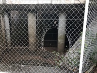 ファイル 1678-1.jpeg