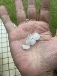 ファイル 1695-1.jpeg