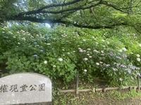 ファイル 1698-1.jpeg