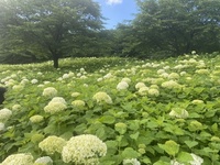 ファイル 1698-2.jpeg