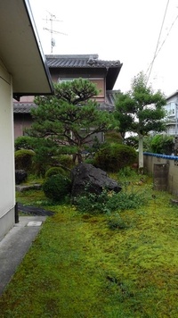 ファイル 1706-2.jpeg