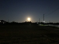 ファイル 1741-2.jpeg