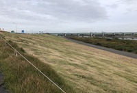 ファイル 1760-2.jpeg