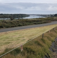 ファイル 1760-3.jpeg