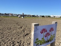 ファイル 1762-2.jpeg