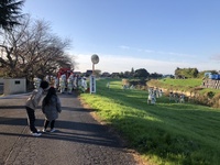 ファイル 1766-3.jpeg