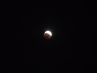 ファイル 1769-1.jpeg