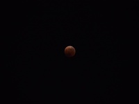 ファイル 1769-3.jpeg