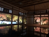 ファイル 1775-3.jpeg