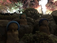 ファイル 1775-5.jpeg