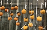 ファイル 1779-3.jpeg