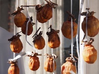 ファイル 1779-4.jpeg