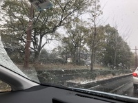 ファイル 1812-2.jpeg