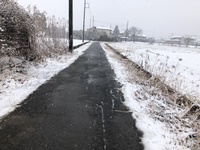 ファイル 1814-2.jpeg