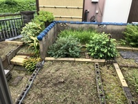 ファイル 1816-1.jpeg