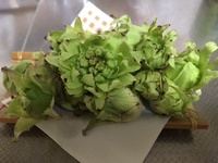 ファイル 1831-1.jpeg