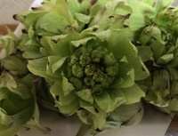 ファイル 1831-2.jpeg