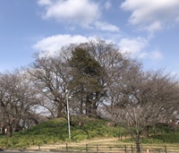 ファイル 1837-3.jpeg