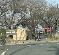 ファイル 1837-4.jpeg