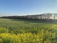 ファイル 1838-5.jpeg