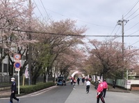 ファイル 1851-1.jpeg