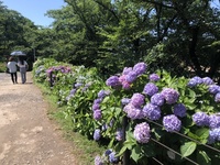 ファイル 1883-1.jpeg