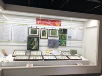 ファイル 1897-3.jpeg