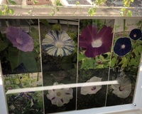 ファイル 1897-5.jpeg