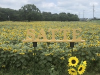 ファイル 1898-5.jpeg