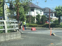 ファイル 1903-1.jpeg