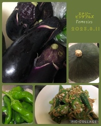 ファイル 1905-1.jpeg