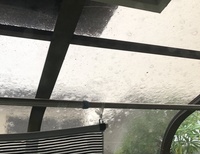 ファイル 1907-1.jpeg