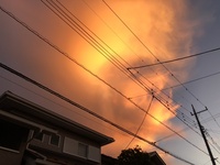 ファイル 1907-2.jpeg