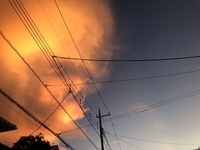 ファイル 1907-3.jpeg