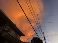 ファイル 1907-4.jpeg