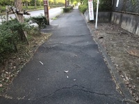 ファイル 1911-2.jpeg