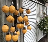 ファイル 1934-2.jpeg