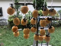 ファイル 1934-3.jpeg