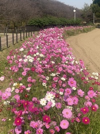 ファイル 1940-3.jpeg