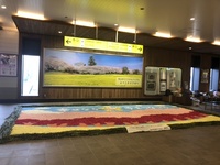 ファイル 1953-1.jpeg