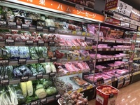 ファイル 1962-2.jpeg