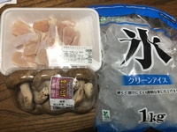 ファイル 1962-3.jpeg