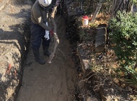 ファイル 1968-3.jpeg