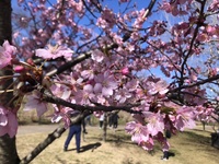 ファイル 1987-1.jpeg